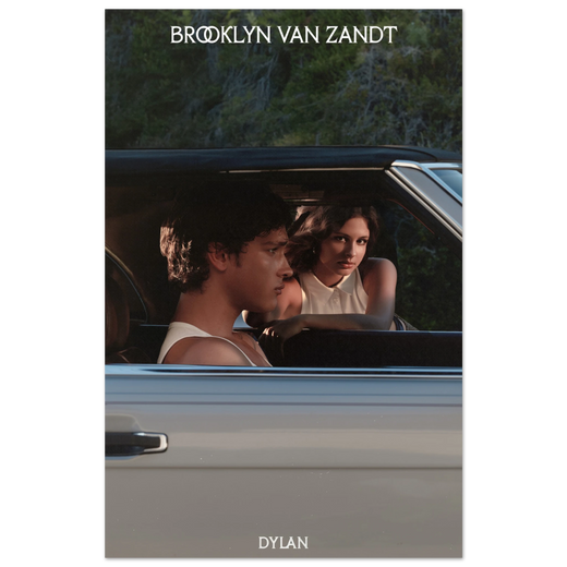 Dylan poster by Brooklyn Van Zandt